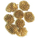 ドライフラワー カラマツ ゴールド 全長3cm 80個セット 1袋40個×2袋 天然素材 自然素材 花材 フラワーアレンジメント ディスプレイ 装飾 クリスマス...