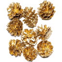 ドライフラワー 松かさ ミニ ゴールド 全長2.5〜3cm 40個セット 1袋20個×2袋 天然素材 自然素材 花材 フラワーアレンジメント ディスプレイ 装飾...
