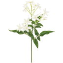 マダガスカルジャスミンの花言葉と誕生花 花の持つ言葉 マダガスカルジャスミンの花言葉と誕生花 花の持つ言葉