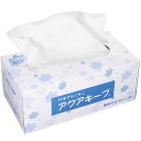 アクアキープ BOX 2箱セット 1箱120枚×2箱 花材 資材 ペーパー 保水力アップ