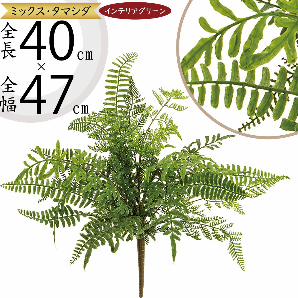 タマシダ ミックス フェイクグリーン おしゃれ インテリアグリーン リアル 人工観葉植物 観葉植物 造花 アーティフィシャルフラワー 花材 玉シダ ファーン フラワーアレンジメント ディスプレイ 装飾 お洒落 トロピカル 南国ムード リゾート気分 ブッシュ リーフ 全長40cm