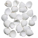 天然素材 クラムローズ 直径1〜1.5cm 2袋セット 1袋約120g ドライフラワー 自然素材 シェル 雑貨 花材 資材 インテリア フラワーアレンジメント ...