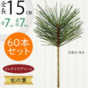 松 フェイクグリーン 造花 人気 インテリアグリーン 松の葉 まつ マツ リアル 観葉植物 人工観葉植物 アートグリーン 花材 葉材 葉物 アーティフィシャルフラワー フラワーアレンジメント ディスプレイ 装飾 和風 お正月 元旦 お祝い 長寿 祝賀 式典 パイン 15cm 60本セット