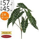 アロカシア アマゾニカ フェイクグリーン 人気 おしゃれ インテリアグリーン リアル 人工観葉植物 観葉植物 造花 アートプランツ アートグリーン インテリア ...