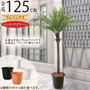 ヤシの木 フェニックス ロベレニー ロベヤシ フェイクグリーン おしゃれ 人気 インテリアグリーン リアル 人工観葉植物 観葉植物 人工樹木 造花 緑 アートプ...