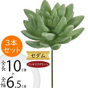 セダム 多肉植物 フェイクグリーン おしゃれ インテリアグリーン 人気 リアル アートプランツ 造花 アートグリーン ミニ観葉 人工観葉植物 人工樹木 観葉植物...