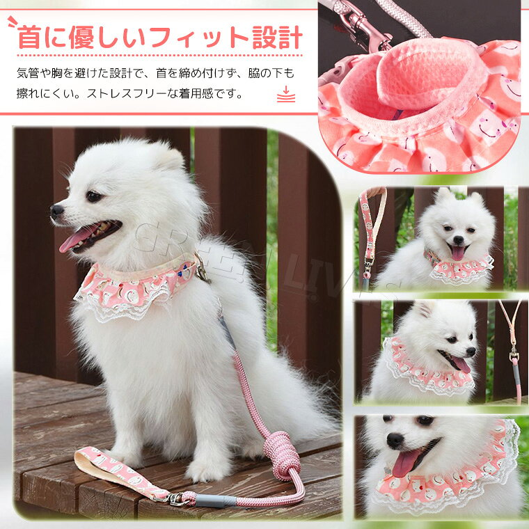 首輪リード 通気性メッシュ 小型犬用 調整可能 猫用首輪 ペット用首輪式リード ね...