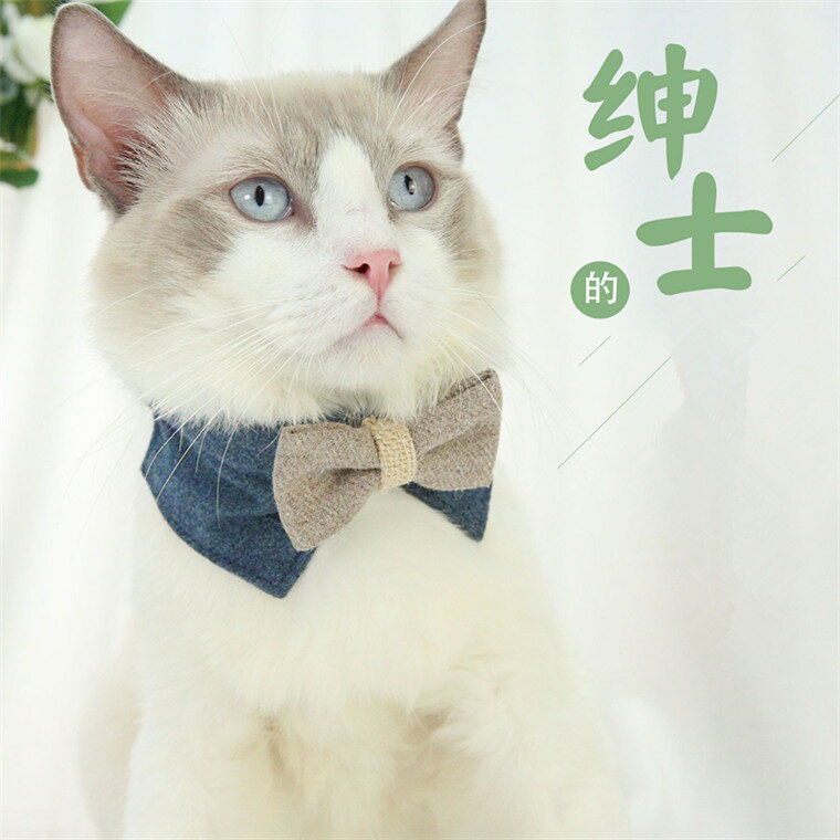 ネコ 首輪 リボン 猫 首輪 おしゃれ 軽量 セーフティ 簡単 猫首輪 猫の首輪 猫用首輪 cat dog pet 猫 犬 ネコ首輪 小型犬 リボン付き ribbon 子猫 セーフティ 猫用 サイズ調整 オシャレ 可愛い かわいい リボン首輪 ブルー グリーン 布製品