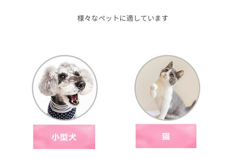 ネコ 首輪 リボン 猫 首輪 おしゃれ 軽量 セーフティ 簡単 猫首輪 猫の首輪 猫用首輪 cat dog pet 猫 犬 ネコ首輪 小型犬 リボン付き ribbon 子猫 セーフティ 猫用 サイズ調整 オシャレ 可愛い かわいい リボン首輪 ブルー グリーン 布製品