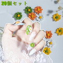 【20個セット】 ネイルパーツ 花 ネイル パーツ セット スマホケース DIY アクセサリー パーツ用 韓国 かわいい 可愛い おしゃれ オシャレ 花柄 はな 菊