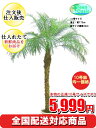 観葉植物 フェニックス 10号【全国配送対応商品 おしゃれな大型観葉植物5999円!?】お部屋のインテリア装飾、法人様・飲食店など店舗の飾りに新築祝い開店祝い、お祝いの贈り物に格安人気観葉植物をどうぞ!☆最安値 贈答 父の日 ギフト プレゼント☆