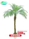 観葉植物 フェニックス 8号【激安!おしゃれな大型観葉植物3...
