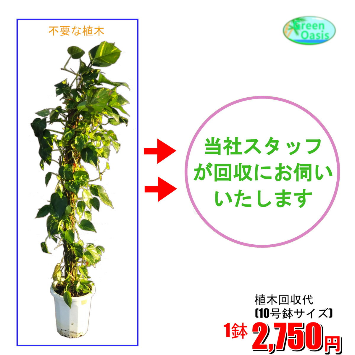 東京23区限定　枯れた植木・不要な植木鉢・鉢の中の土の処分にお伺いいたしますいらなくなった植木の回収　土の処分　不用品回収　お引越し　事務所移転　別の種類の植木へ交換　グリーンレンタル・レンタル植木を買い取り植木にして経費削減