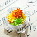 【ドライフラワー】9輪　3色ミックス　スターフラワー　《バケーション》【小花 プリザーブドフラワー 花材 flower 緑 黄色 オレンジ ビーズアンドパーツ アクセサリーパーツ】