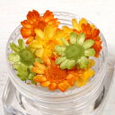 【ドライフラワー】9輪　3色ミックス　スターフラワー　《バケーション》【小花 プリザーブドフラワー 花材 flower 桜 サクラ 春 spring イエロー オレンジ グリーン ビーズアンドパーツ アクセサリーパーツ】