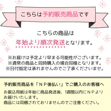 ▲【2018年末謎の福袋】予約販売 送料無料 おまかせ謎袋8000円(税込) レジン液がついて12000円分位入ってます(^^♪年末福袋 お買い得 お楽しみ