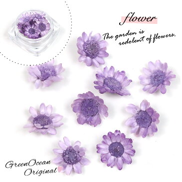 【ドライフラワー】9輪 単色 スターフラワー 《ぶどう》【小花 プリザーブドフラワー 花材 flower グレープ 紫 ビーズアンドパーツ アクセサリーパーツ】