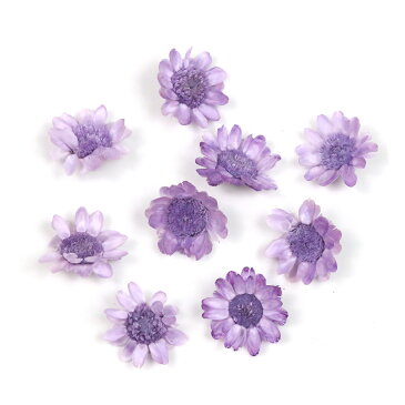 【ドライフラワー】9輪 単色 スターフラワー 《ぶどう》【小花 プリザーブドフラワー 花材 flower グレープ 紫 ビーズアンドパーツ アクセサリーパーツ】