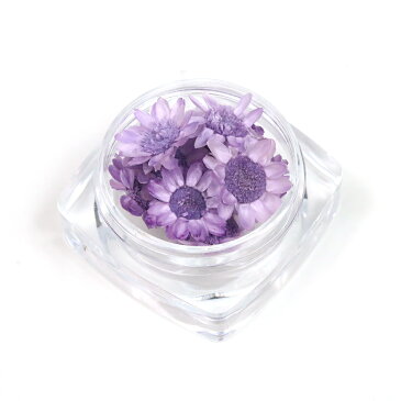 【ドライフラワー】9輪 単色 スターフラワー 《ぶどう》【小花 プリザーブドフラワー 花材 flower グレープ 紫 ビーズアンドパーツ アクセサリーパーツ】