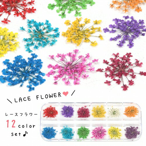 フロールエバー florever スプレーローズ シャーベットオレンジ FL070-16 4543567507163 ローズ プリザーブドフラワー花材