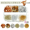 【封入】ホイルフレーク 6種セット 金箔アソート ホイルタイプ 糸タイプ レジン用品 パーツ 手芸 乱切り ホログラム ネイル用品 ネイルパーツ デコパーツ