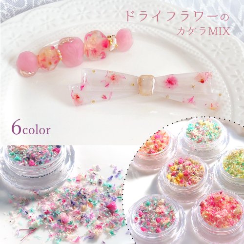 【ドライフラワー】ドライフラワーのカケラMIX レジン封入 ネイルパーツ ネイルアート 花材 レジン ドライフラワー 小花 本物 自然素材 植物 ネイル用品 デコパーツ 手芸 クラフト flower 欠片《選べる6色》