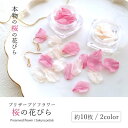 【ドライフラワー】さくらの花びら 10枚 さくらの花弁 桜 サクラ プリザーブドフラワー 花材 レジン封入 アクセサリー 春 本物 デコパーツ ハーバリウム 手芸 クラフト《選べる2色》