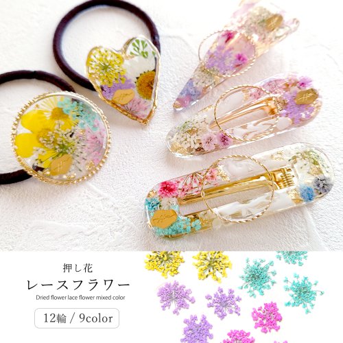 レースフラワー 12輪 レジン封入 ネイルパーツ ネイルアート 押し花 花材 プリザーブドフラワー 本物 自然素材 植物 ネイル用品 デコパーツ 手芸《選べる9色》