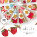 【押し花】いちご 国産品 2枚セット