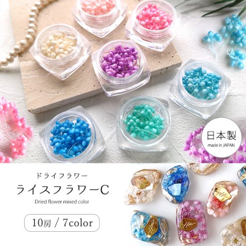 【ドライフラワー】ライスフラワーC 日本製 ハーバリウム ハーバリューム プリザーブドフラワー レジン封入 ネイル 封入素材 花材 小花 本物 パーツ 自然素材 レジン ドライフラワー 《選べる7色》のサムネイル