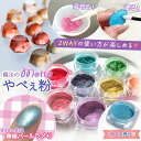 【封入】単品 no.38-52 もっとやべぇ粉 偏光パール 微細ラメパウダー たっぷりBIGケース入り♪ レジン液 着色剤 着色料 ミラーパウダー カラー 微粒子 ネイル 《選べる15色》