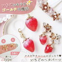 【チャーム】5個 いちごのヘタ 小 13mm 15mm きれいめゴールド 金属 金具 パーツ イチゴ 苺 ストロベリー 花座パーツ アクセサリー レジン 手芸 クラフト レフィル 《選べる2種》