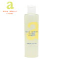 アンナトゥモール ナチュラルシャンプー 300ml(anna tumoru/無添加 植物性シャンプー ヘアシャンプー ノンシリコン ヘアケア/4521697100645)