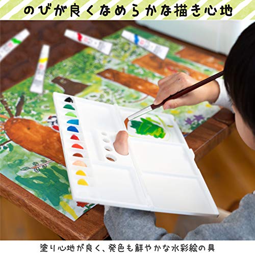 サクラクレパス絵の具セットメッシュパステルミントラミチューブ絵の具入りEWZ-R12#929