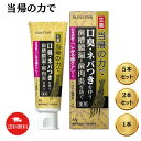 サンスター 薬用ハミガキ 生薬当帰の力 82g （歯肉炎 歯周炎を防ぐ歯周病歯磨き） しみる歯ケアタイプ 口臭 歯磨き粉 おすすめ 人気 口臭ケア 歯みがき粉 はみがきこ オーラルケア ハミガキ粉 爽快 ブレスケア におい スッキリ 息ケア 歯周病 母の日