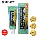 サンスター 薬用ハミガキ 生薬当帰の力 85g （歯肉炎 歯周炎を防ぐ歯周病歯磨き）すっきりハーブタイプ 口臭 歯磨き粉 おすすめ 人気 口臭ケア 歯みがき粉 はみがきこ オーラルケア ハミガキ粉 爽快 キス ブレスケア におい スッキリ 息ケア 歯周病 母の日