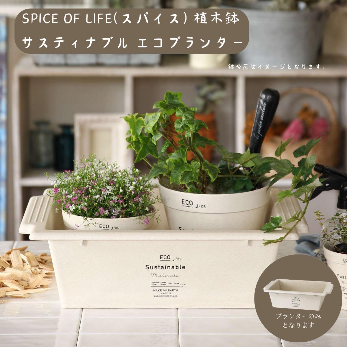 【楽天スーパーSALE】SPICE OF LIFE(スパイス) 植木鉢 サスティナブル エコプランター BENIGN スクエア サンドベージュ 幅45.5cm 奥行31cm 高さ13cm 屋内外利用可 TBGF1020SBE 父の日 早割