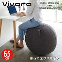 VIVORA ヴィヴォラ シーティングボール ルーノシェニール LUNO CHENILLE V002-BW65 DKGチャコール ビボラ