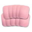 【本日ポイント10倍】置くだけ簡単 ダニシート/ダニ捕りシート 【10枚セット】 10cm×15cm 約3ヶ月有効 日本製 コットン使用 父の日 ギフト