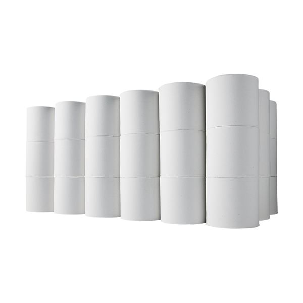 【スーパーSALE対象】TANOSEE トイレットペーパー 無包装 シングル 芯なし 170m 1セット(480ロール:48ロール×10ケース)