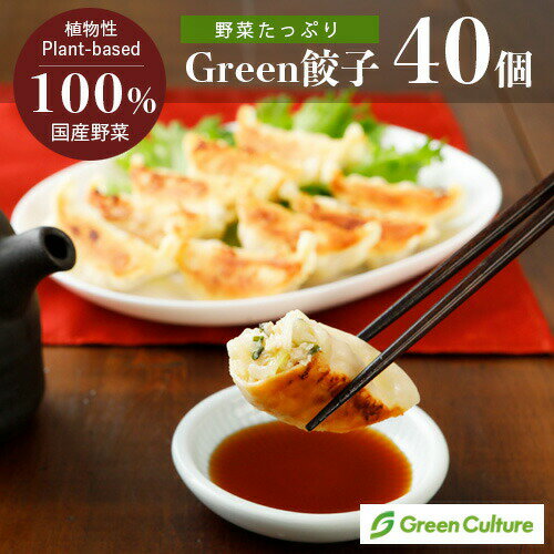 Green 餃子 ヘルシー 菜食 野菜餃子 国産野菜 業務用 【40個】プラントベース 大豆ミート 植物肉 ヴィーガン ベジタリアン ぎょうざ