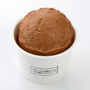 【9〜2月限定商品】ナチュラル豆乳アイス モカ風チョコチップ