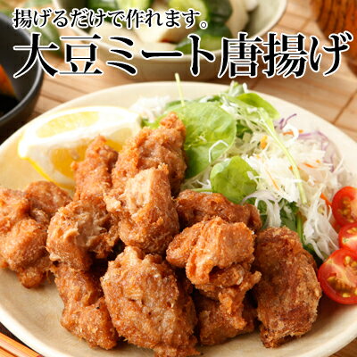 【クール便送料別途】飲食店プロ仕様！揚げるだけ大豆ミート唐揚げ ヴィーガン対応 800g rt