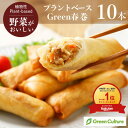 Green 春巻 40gx10本 プラントベース 大豆ミート ヘルシー ダイエット ヴィーガン ベジタリアン