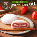 豆乳クリーム大福(苺)1個 60gいちご イチゴ フルーツ だいふく 大福餅 和菓子 プラントベース 乳不使用 ヴィーガン スイーツ ベジタリアン