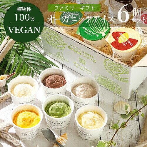 【食べ比べセット】VEGAN オーガニック アイス 6個セット(3〜6人)ギフト ヴィーガン ビーガン お中元 詰め合わせ スイーツ ≪ギフト対応≫