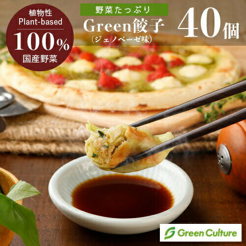 Green 餃子 ジェノベーゼ味 菜食 餃子 ぎょうざ 野菜餃子 業務用 【40個】プラントベース 大豆ミート 大豆肉 植物肉 …