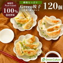 送料無料！Green 餃子食べ比べ 三色 ヘルシー 菜食 餃子 ぎょうざ 野菜餃子 国産野菜 業務用 【食べ比べ 120個セット】プラントベース 大豆ミート 大豆肉 植物肉 ヴィーガン ベジタリアン【本州送料無料】