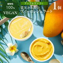果実と米粉のヴィーガンジェラート アップルマンゴー 100ml ヴィーガン ビーガン ベジタリアン スイーツ アイス グルテンフリー