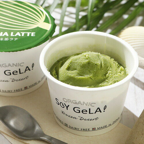 VEGAN オーガニック アイス 静岡抹茶ラテ 100ml ヴィーガン ビーガン 乳不使用 無...